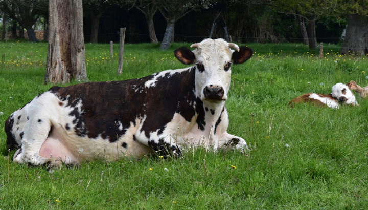 Une première formation LPO "Agriculture & Biodiversité" avec le GAB 29